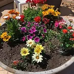 Bed & Breakfast Annina Tropea