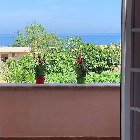 Annina トロペーア