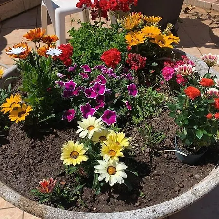 Alojamento de Acomodação e Pequeno-almoço Annina Tropea