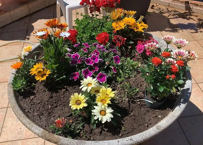 Bed & Breakfast Annina Tropea